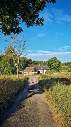 Radreise Dänemark 2025 #133, Fyn, Sjælland, Møn, Lolland, Langeland, Ærø, August 2025