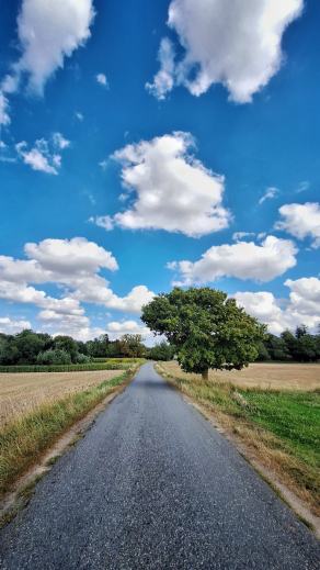 Radreise Dänemark 2025 #135, Fyn, Sjælland, Møn, Lolland, Langeland, Ærø, August 2025