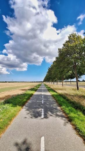 Radreise Dänemark 2025 #140, Fyn, Sjælland, Møn, Lolland, Langeland, Ærø, August 2025