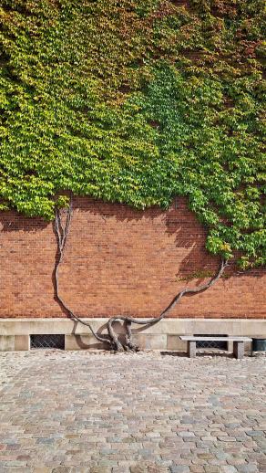 Radreise Dänemark 2025 #144, Fyn, Sjælland, Møn, Lolland, Langeland, Ærø, August 2025