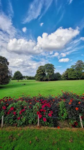 Radreise Dänemark 2025 #145, Fyn, Sjælland, Møn, Lolland, Langeland, Ærø, August 2025