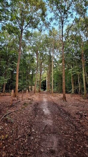 Radreise Dänemark 2025 #158, Fyn, Sjælland, Møn, Lolland, Langeland, Ærø, August 2025