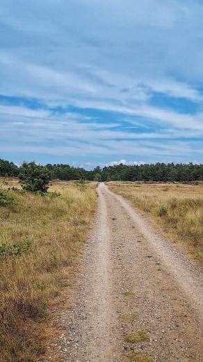 Radreise Dänemark 2025 #167, Fyn, Sjælland, Møn, Lolland, Langeland, Ærø, August 2025