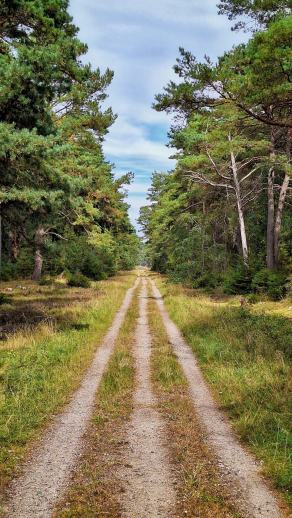 Radreise Dänemark 2025 #168, Fyn, Sjælland, Møn, Lolland, Langeland, Ærø, August 2025