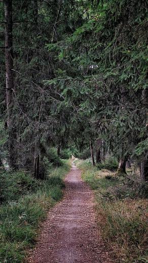 Radreise Dänemark 2025 #169, Fyn, Sjælland, Møn, Lolland, Langeland, Ærø, August 2025