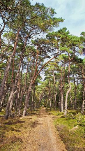 Radreise Dänemark 2025 #171, Fyn, Sjælland, Møn, Lolland, Langeland, Ærø, August 2025