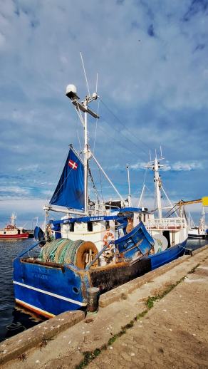 Radreise Dänemark 2025 #175, Fyn, Sjælland, Møn, Lolland, Langeland, Ærø, August 2025