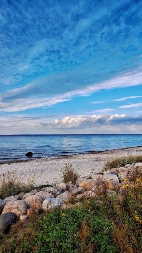 Radreise Dänemark 2025 #181, Fyn, Sjælland, Møn, Lolland, Langeland, Ærø, August 2025