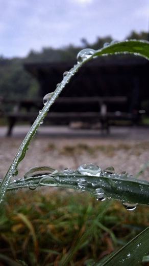 Radreise Dänemark 2025 #185, Fyn, Sjælland, Møn, Lolland, Langeland, Ærø, August 2025