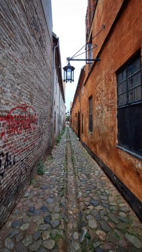 Radreise Dänemark 2025 #204, Fyn, Sjælland, Møn, Lolland, Langeland, Ærø, August 2025