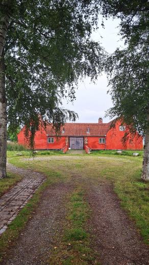 Radreise Dänemark 2025 #208, Fyn, Sjælland, Møn, Lolland, Langeland, Ærø, August 2025