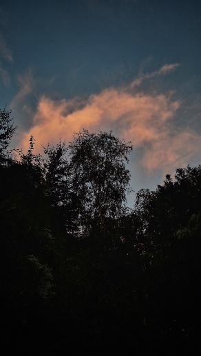 Radreise Dänemark 2025 #211, Fyn, Sjælland, Møn, Lolland, Langeland, Ærø, August 2025