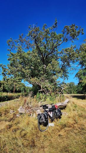 Radreise Dänemark 2025 #213, Fyn, Sjælland, Møn, Lolland, Langeland, Ærø, August 2025