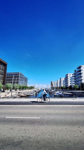 Radreise Dänemark 2025 #217, Fyn, Sjælland, Møn, Lolland, Langeland, Ærø, August 2025