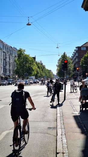 Radreise Dänemark 2025 #218, Fyn, Sjælland, Møn, Lolland, Langeland, Ærø, August 2025