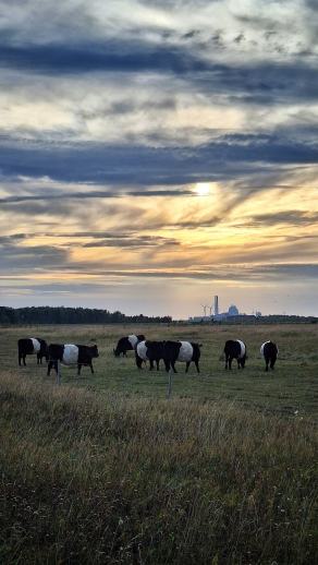 Radreise Dänemark 2025 #258, Fyn, Sjælland, Møn, Lolland, Langeland, Ærø, August 2025