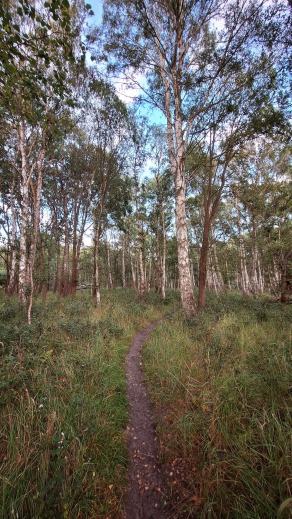 Radreise Dänemark 2025 #259, Fyn, Sjælland, Møn, Lolland, Langeland, Ærø, August 2025