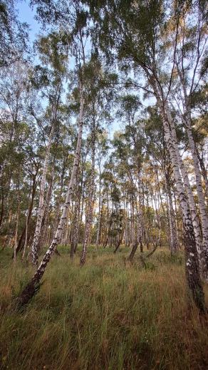 Radreise Dänemark 2025 #262, Fyn, Sjælland, Møn, Lolland, Langeland, Ærø, August 2025