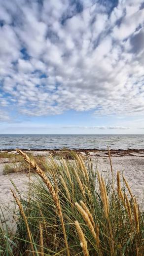 Radreise Dänemark 2025 #285, Fyn, Sjælland, Møn, Lolland, Langeland, Ærø, August 2025