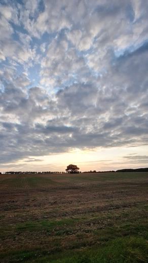 Radreise Dänemark 2025 #288, Fyn, Sjælland, Møn, Lolland, Langeland, Ærø, August 2025