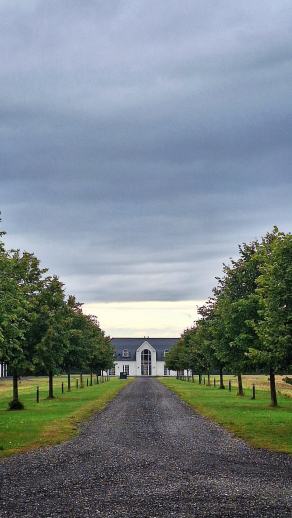 Radreise Dänemark 2025 #292, Fyn, Sjælland, Møn, Lolland, Langeland, Ærø, August 2025