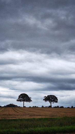 Radreise Dänemark 2025 #293, Fyn, Sjælland, Møn, Lolland, Langeland, Ærø, August 2025