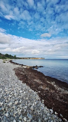 Radreise Dänemark 2025 #295, Fyn, Sjælland, Møn, Lolland, Langeland, Ærø, August 2025