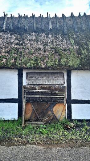 Radreise Dänemark 2025 #298, Fyn, Sjælland, Møn, Lolland, Langeland, Ærø, August 2025