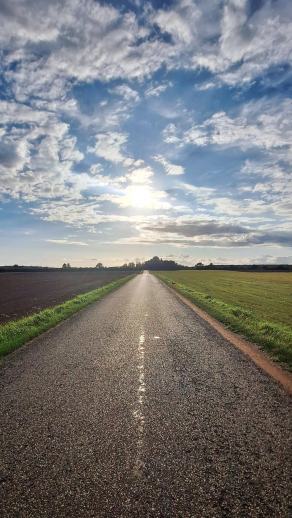 Radreise Dänemark 2025 #301, Fyn, Sjælland, Møn, Lolland, Langeland, Ærø, August 2025