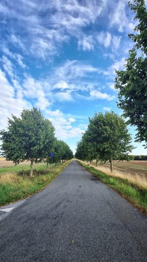 Radreise Dänemark 2025 #302, Fyn, Sjælland, Møn, Lolland, Langeland, Ærø, August 2025