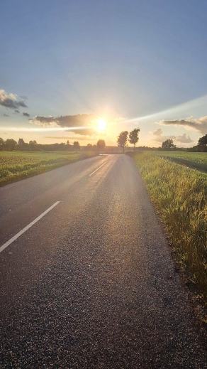 Radreise Dänemark 2025 #304, Fyn, Sjælland, Møn, Lolland, Langeland, Ærø, August 2025