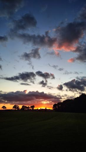 Radreise Dänemark 2025 #309, Fyn, Sjælland, Møn, Lolland, Langeland, Ærø, August 2025