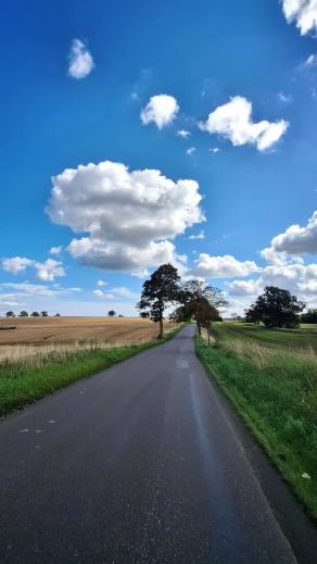 Radreise Dänemark 2025 #314, Fyn, Sjælland, Møn, Lolland, Langeland, Ærø, August 2025