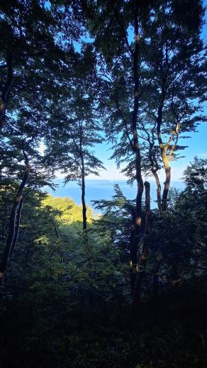 Radreise Dänemark 2025 #328, Fyn, Sjælland, Møn, Lolland, Langeland, Ærø, August 2025