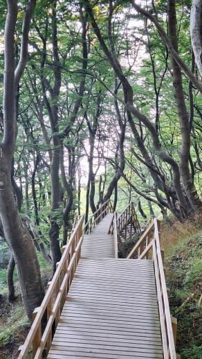 Radreise Dänemark 2025 #331, Fyn, Sjælland, Møn, Lolland, Langeland, Ærø, August 2025