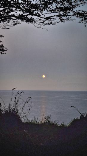 Radreise Dänemark 2025 #337, Fyn, Sjælland, Møn, Lolland, Langeland, Ærø, August 2025