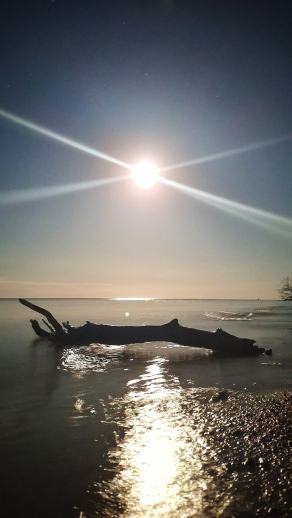 Radreise Dänemark 2025 #342, Fyn, Sjælland, Møn, Lolland, Langeland, Ærø, August 2025