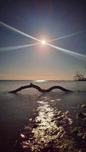 Radreise Dänemark 2025 #343, Fyn, Sjælland, Møn, Lolland, Langeland, Ærø, August 2025