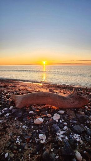 Radreise Dänemark 2025 #352, Fyn, Sjælland, Møn, Lolland, Langeland, Ærø, August 2025