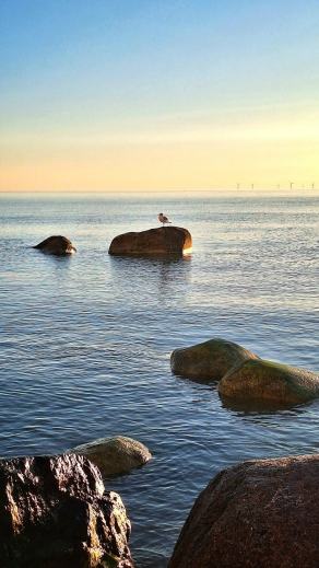 Radreise Dänemark 2025 #359, Fyn, Sjælland, Møn, Lolland, Langeland, Ærø, August 2025