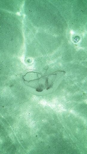 Radreise Dänemark 2025 #371, Fyn, Sjælland, Møn, Lolland, Langeland, Ærø, August 2025