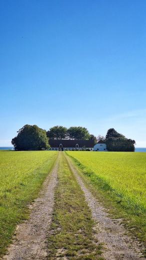 Radreise Dänemark 2025 #379, Fyn, Sjælland, Møn, Lolland, Langeland, Ærø, August 2025