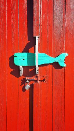 Radreise Dänemark 2025 #381, Fyn, Sjælland, Møn, Lolland, Langeland, Ærø, August 2025