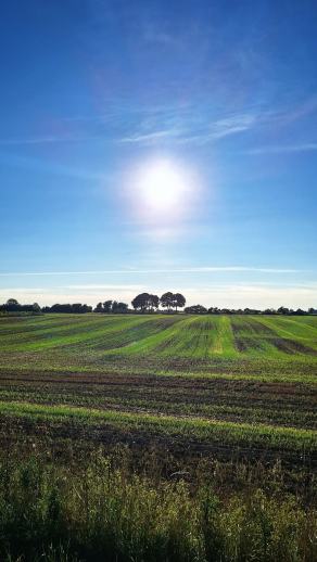 Radreise Dänemark 2025 #383, Fyn, Sjælland, Møn, Lolland, Langeland, Ærø, August 2025