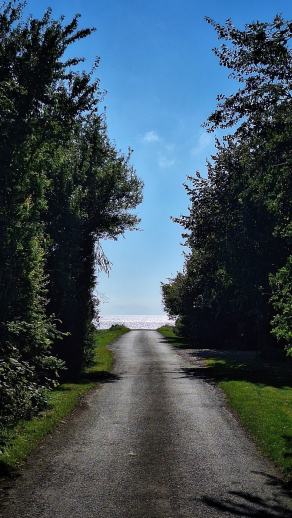 Radreise Dänemark 2025 #401, Fyn, Sjælland, Møn, Lolland, Langeland, Ærø, August 2025