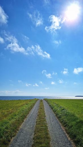 Radreise Dänemark 2025 #402, Fyn, Sjælland, Møn, Lolland, Langeland, Ærø, August 2025