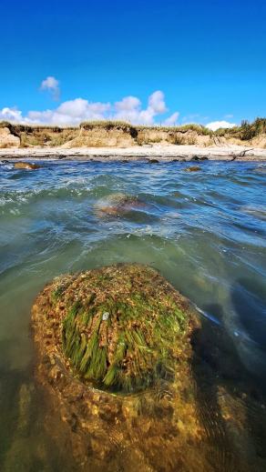 Radreise Dänemark 2025 #405, Fyn, Sjælland, Møn, Lolland, Langeland, Ærø, August 2025