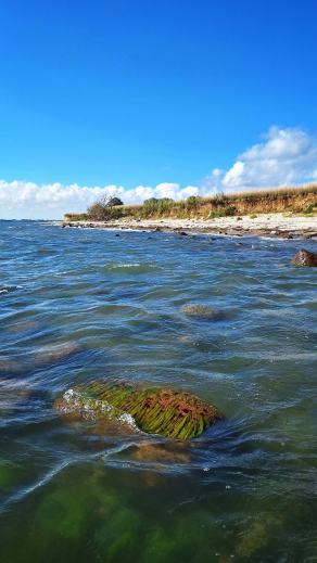 Radreise Dänemark 2025 #406, Fyn, Sjælland, Møn, Lolland, Langeland, Ærø, August 2025