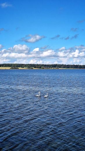 Radreise Dänemark 2025 #408, Fyn, Sjælland, Møn, Lolland, Langeland, Ærø, August 2025