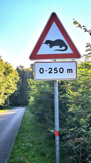 Radreise Dänemark 2025 #412, Fyn, Sjælland, Møn, Lolland, Langeland, Ærø, August 2025